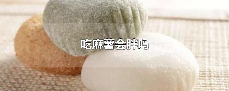 吃麻薯会胖吗