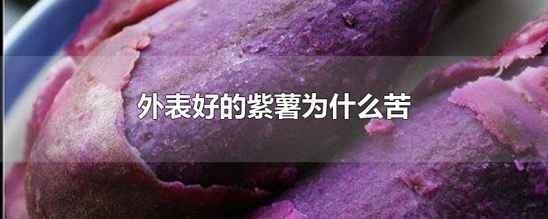 外表好的紫薯为什么苦