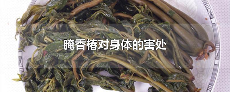 腌香椿对身体的害处-最新腌香椿对身体的害处整理解答