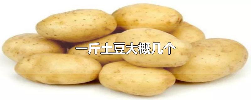 一斤土豆大概几个