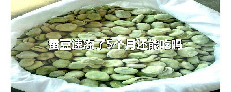 蚕豆速冻了5个月还能吃吗