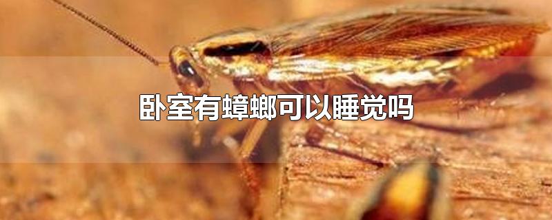 卧室有蟑螂可以睡觉吗