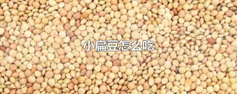 小扁豆怎么吃