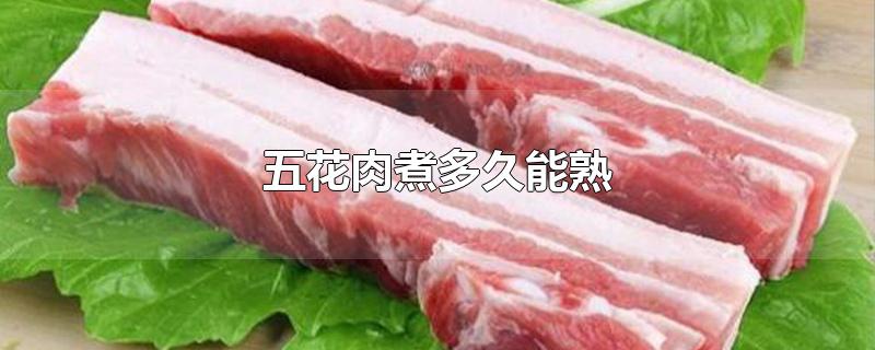 五花肉煮多久能熟-最新五花肉煮多久能熟整理解答