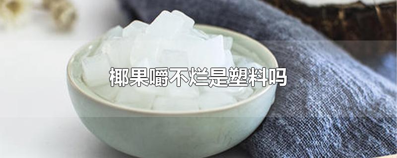 椰果嚼不烂是塑料吗-最新椰果嚼不烂是塑料吗整理解答