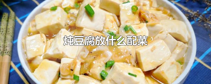 炖豆腐放什么配菜-最新炖豆腐放什么配菜整理解答