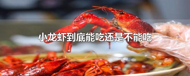 小龙虾到底能吃还是不能吃