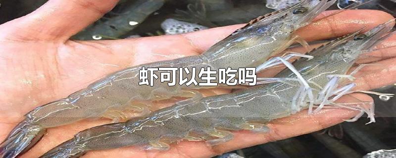 虾可以生吃吗-最新虾可以生吃吗整理解答