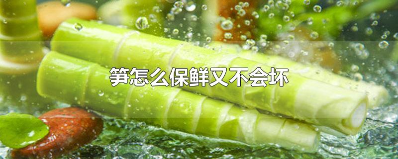 笋怎么保鲜又不会坏-最新笋怎么保鲜又不会坏整理解答