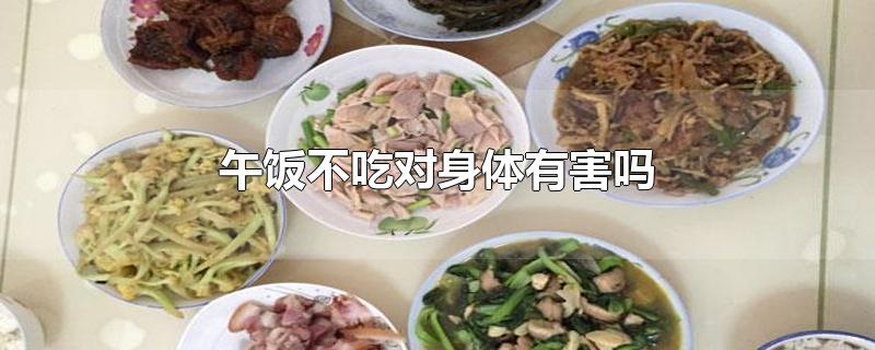 午饭不吃对身体有害吗-最新午饭不吃对身体有害吗整理解答