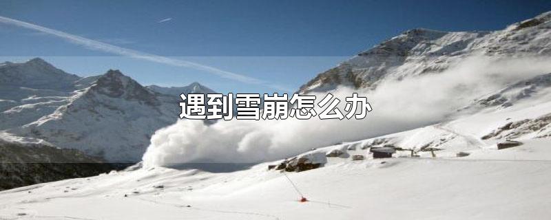 遇到雪崩怎么办-最新遇到雪崩怎么办整理解答