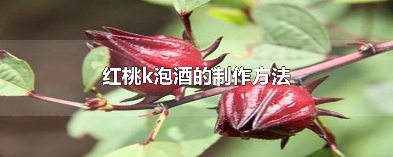 红桃k泡酒有什么功效图片