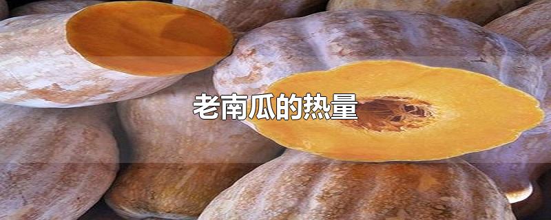 老南瓜的热量-最新老南瓜的热量整理解答