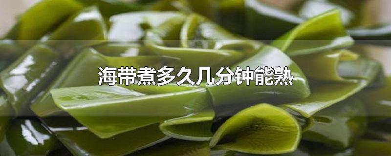 海带煮多久几分钟能熟-最新海带煮多久几分钟能熟整理解答