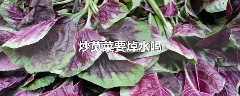 炒苋菜要焯水吗-最新炒苋菜要焯水吗整理解答