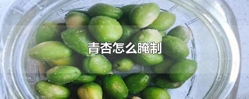 青杏怎么腌制-最新青杏怎么腌制整理解答