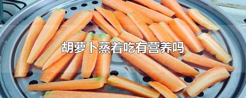 胡萝卜蒸着吃有营养吗-最新胡萝卜蒸着吃有营养吗整理解答