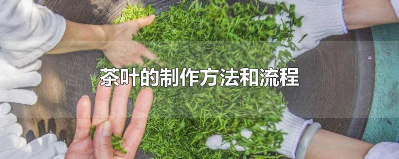 茶叶的制作方法和流程-最新茶叶的制作方法和流程整理解答