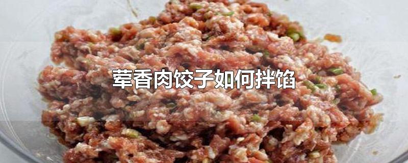 荤香肉饺子如何拌馅-最新荤香肉饺子如何拌馅整理解答