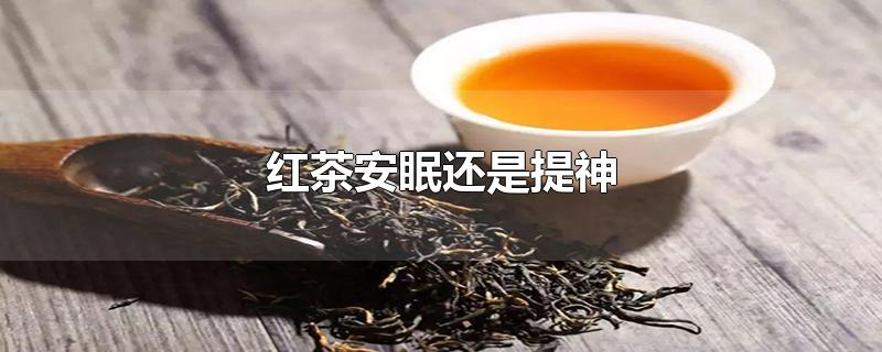 红茶安眠还是提神-最新红茶安眠还是提神整理解答