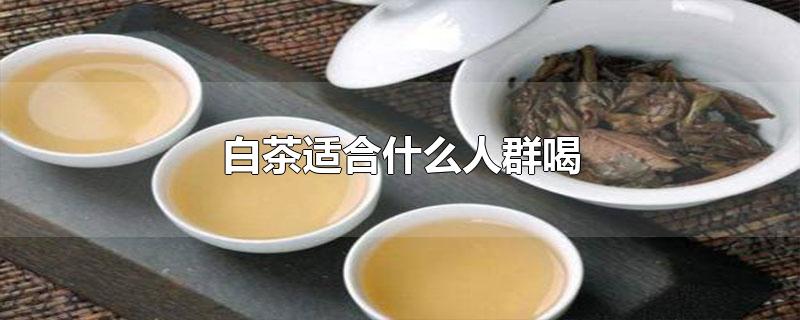 白茶适合什么人群喝