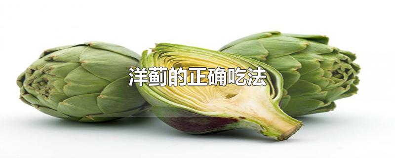 洋蓟的正确吃法