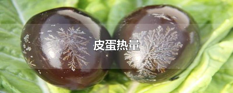 皮蛋热量