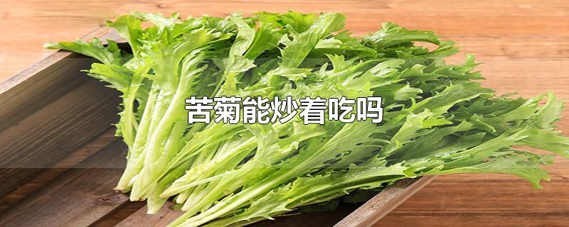 苦菊能炒着吃吗-最新苦菊能炒着吃吗整理解答