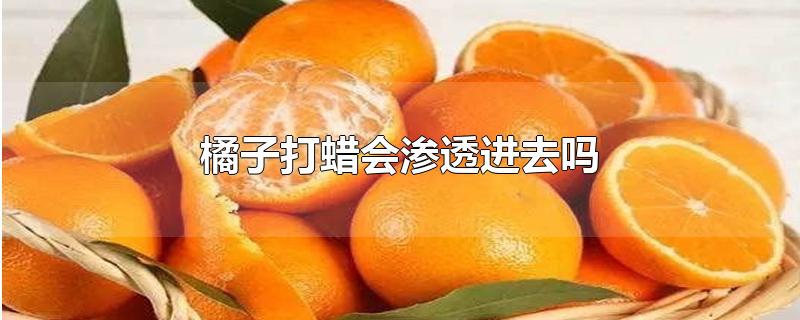 橘子打蜡会渗透进去吗-最新橘子打蜡会渗透进去吗整理解答