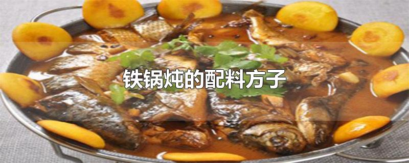 铁锅炖的配料方子