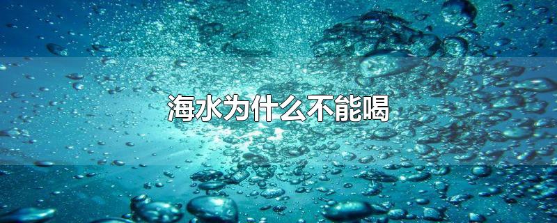 海水为什么不能喝