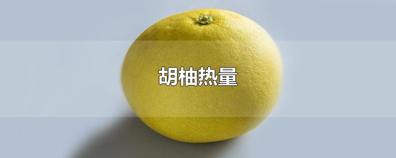 胡柚热量