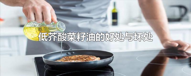 低芥酸菜籽油的好处与坏处