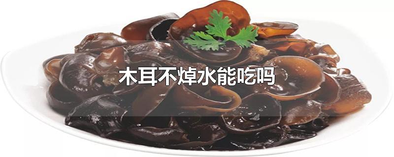 木耳不焯水能吃吗