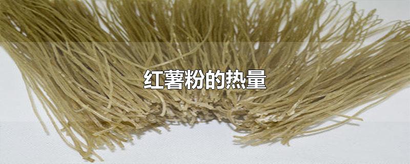 红薯粉的热量