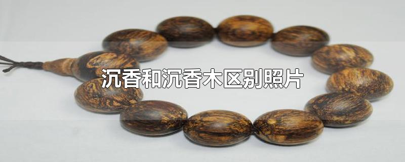 沉香和沉香木区别照片