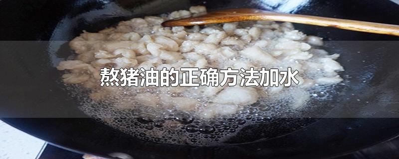 熬猪油的正确方法加水