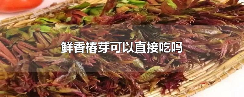 鲜香椿芽可以直接吃吗