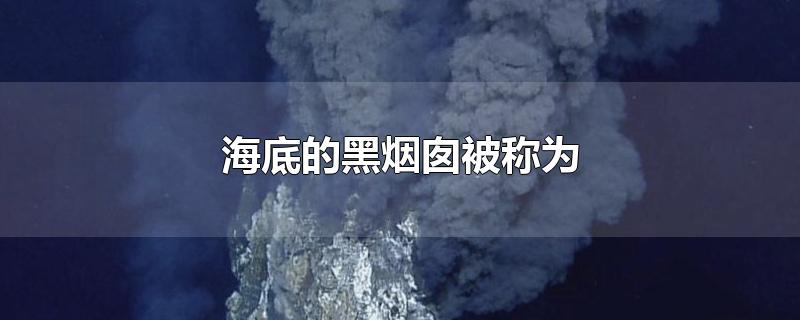 海底的黑烟囱被称为-最新海底的黑烟囱被称为整理解答