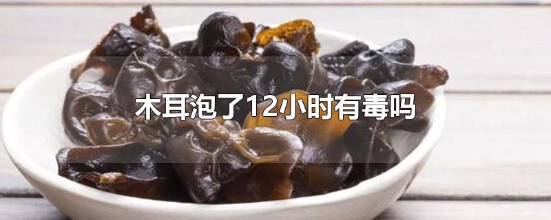 木耳泡了12小时有毒吗-最新木耳泡了12小时有毒吗整理解答