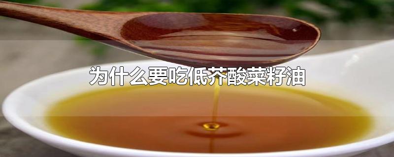 为什么要吃低芥酸菜籽油