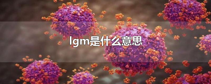 lgm是什么意思-最新lgm是什么意思整理解答