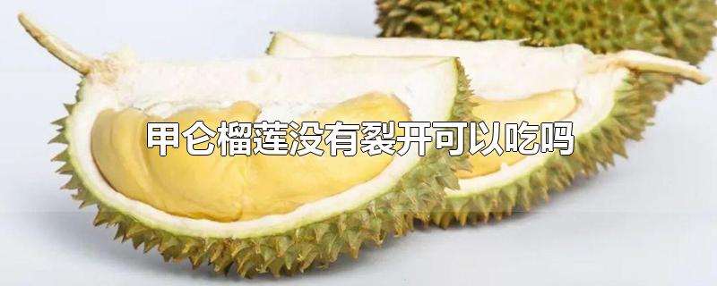 甲仑榴莲没有裂开可以吃吗-最新甲仑榴莲没有裂开可以吃吗整理解答