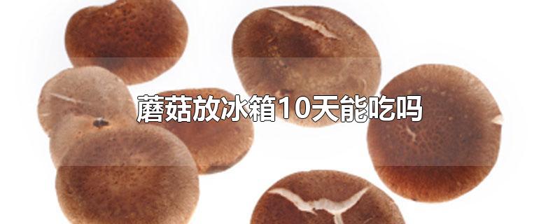 蘑菇放冰箱10天能吃吗-最新蘑菇放冰箱10天能吃吗整理解答