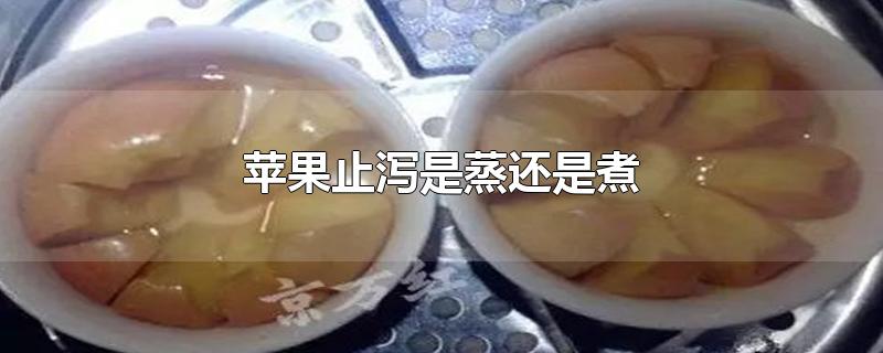 苹果止泻是蒸还是煮