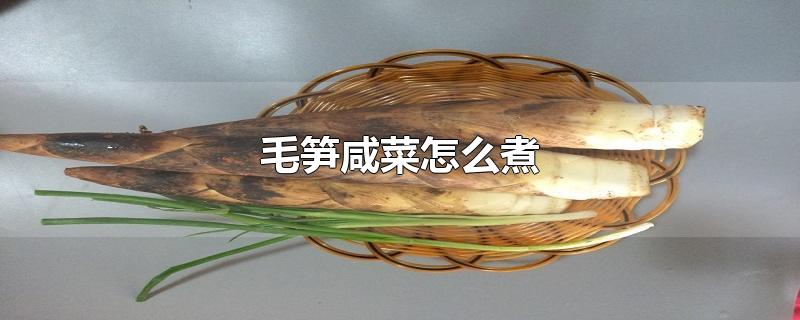 毛笋咸菜怎么煮