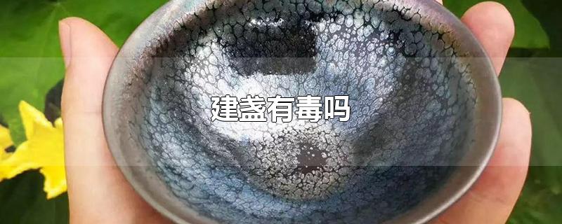 建盏有毒吗-最新建盏有毒吗整理解答