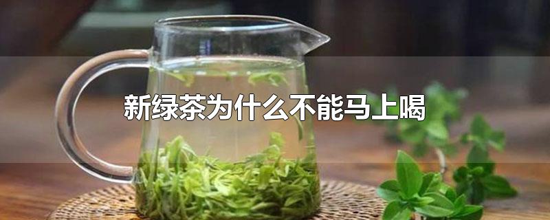 新绿茶为什么不能马上喝-最新新绿茶为什么不能马上喝整理解答