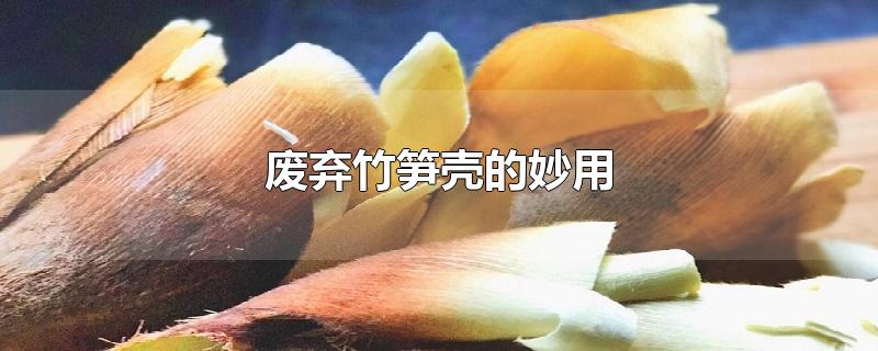 废弃竹笋壳的妙用