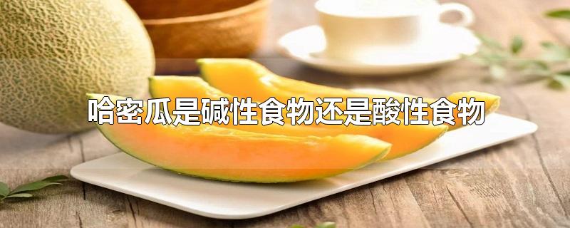 哈密瓜是碱性食物还是酸性食物